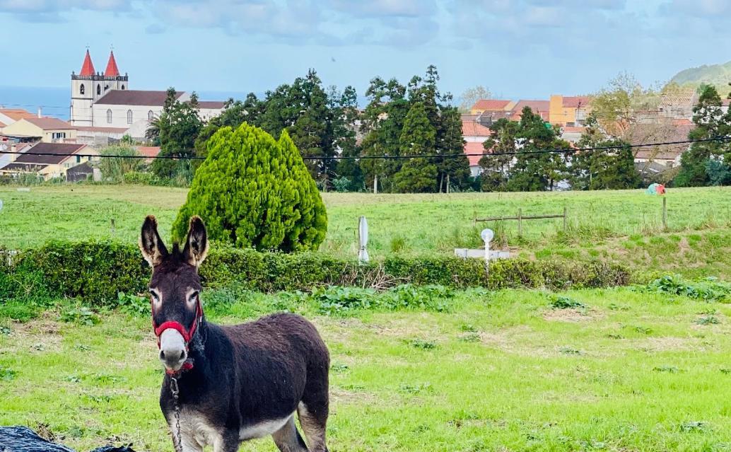 Quinta Do Avo Dimas - Rural Home - Sao Bras Porto Formoso Dış mekan fotoğraf