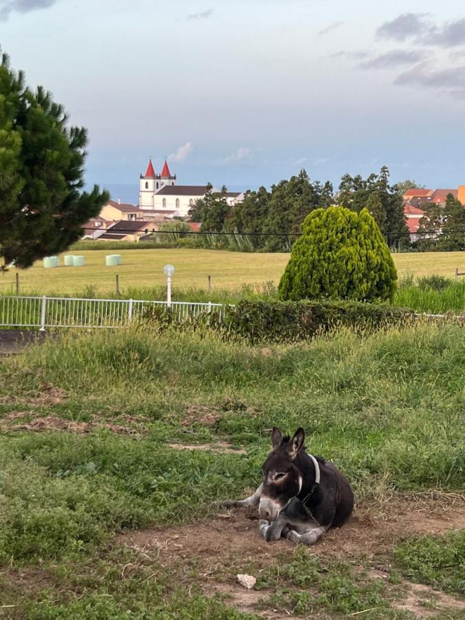 Quinta Do Avo Dimas - Rural Home - Sao Bras Porto Formoso Dış mekan fotoğraf