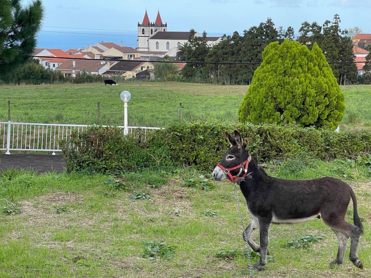 Quinta Do Avo Dimas - Rural Home - Sao Bras Porto Formoso Dış mekan fotoğraf